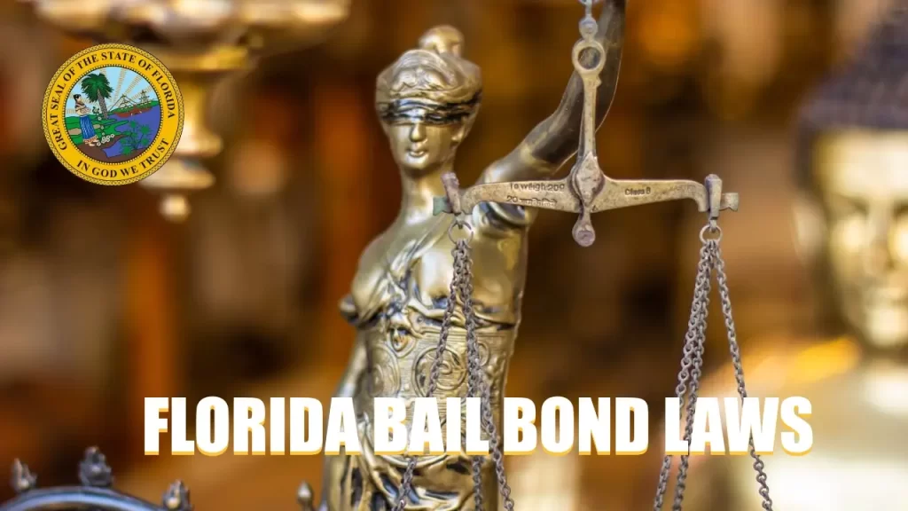 Florida Bail Bonds Laws 2024